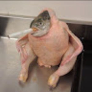 Meet your Posher, Liam